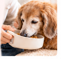 持ち手付き食器で口元まで運んで食事を介助している様子