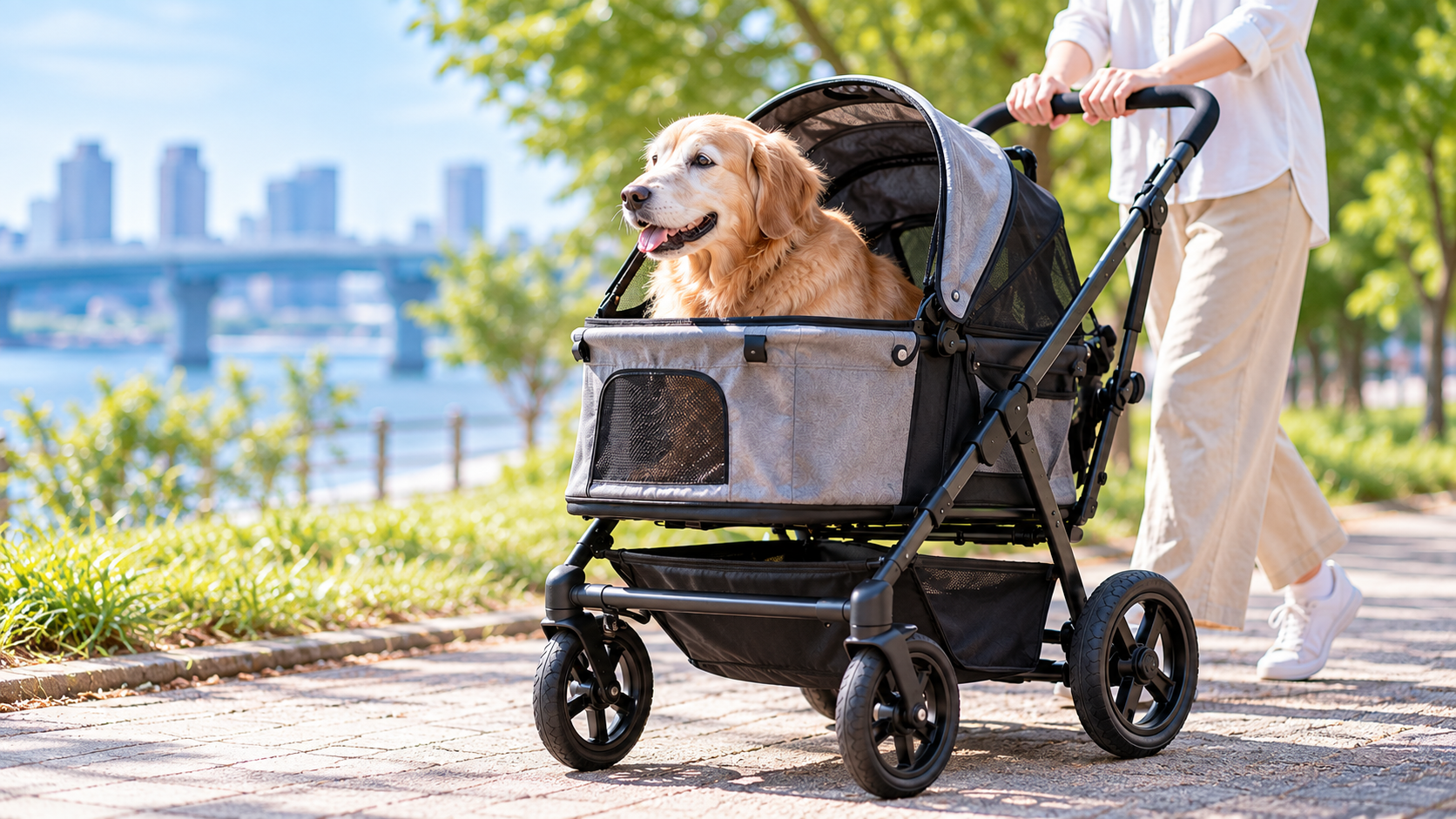 ペットカートに乗って散歩するゴールデンレトリバーと飼い主